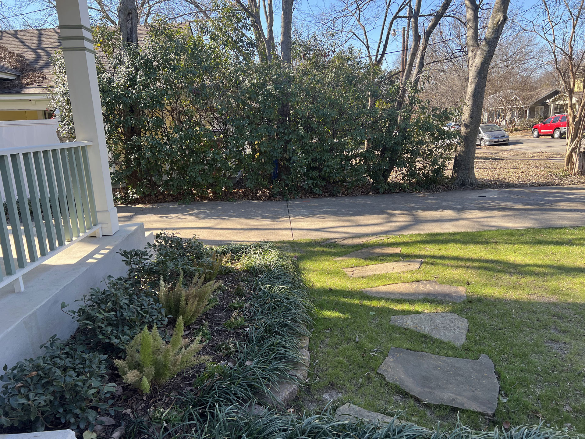 Junius Heights Historic District Yard of the Month February 2025