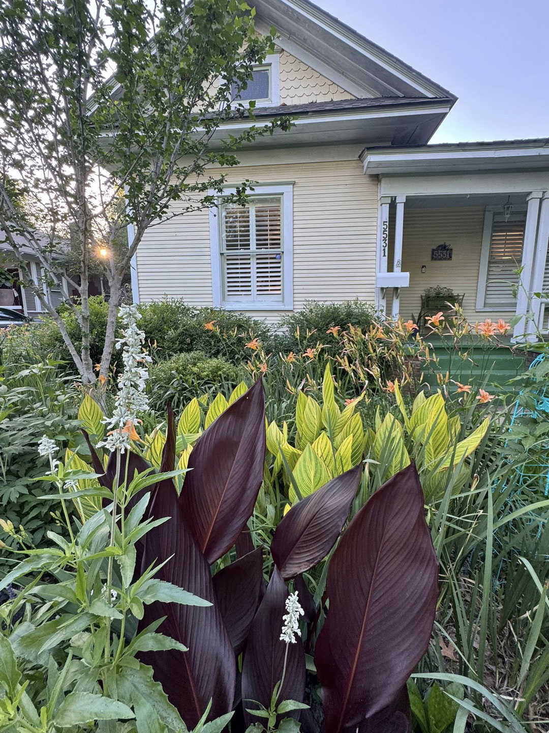 Junius Heights Historic District Yard of the Month May 2026