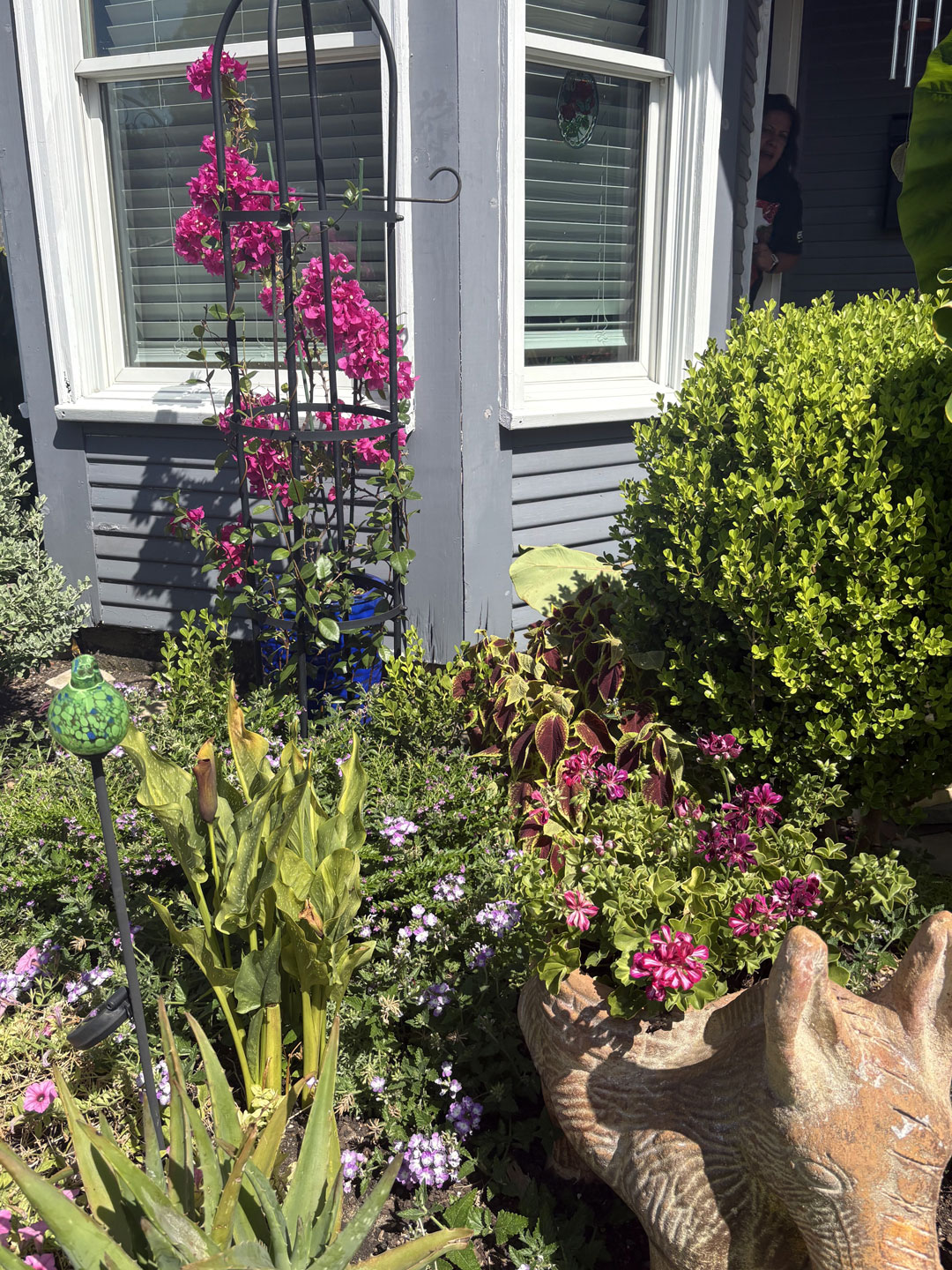 Junius Heights Historic District Yard of the Month July 2026