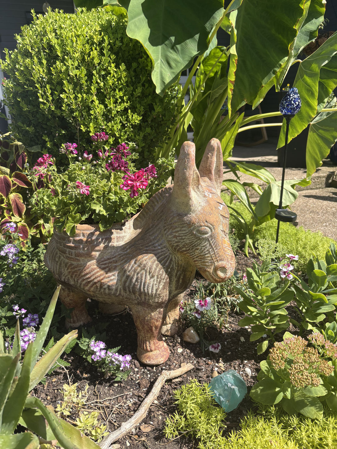 Junius Heights Historic District Yard of the Month July 2026