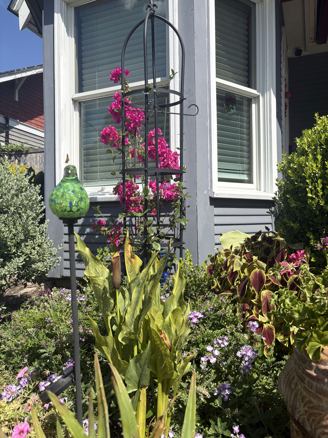 Junius Heights Historic District Yard of the Month July 2026