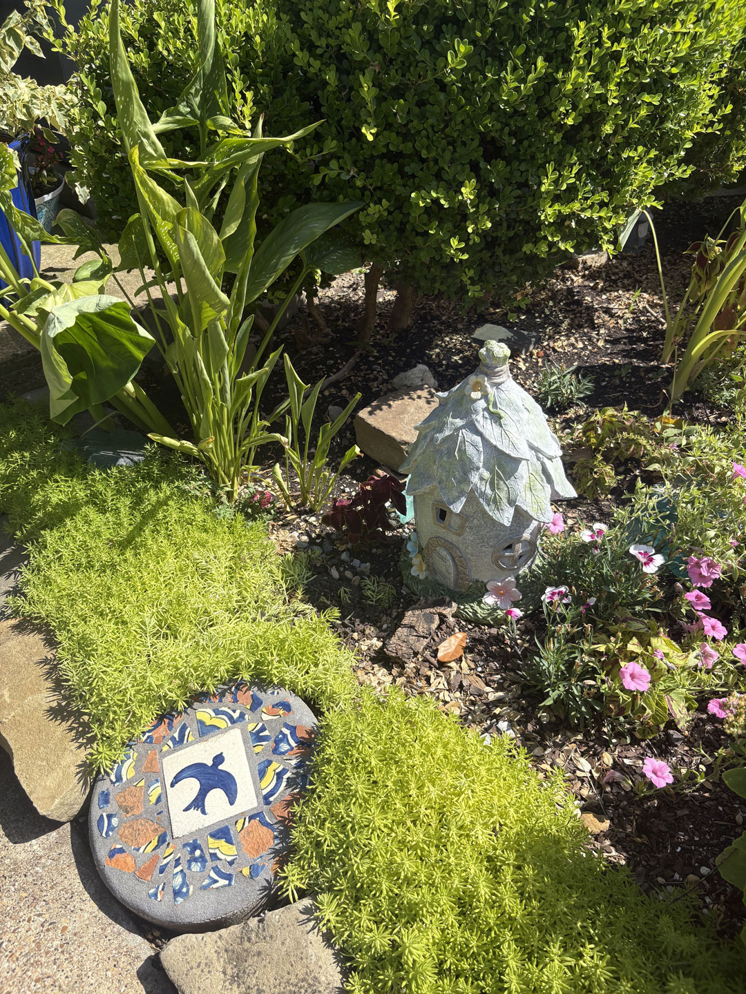 Junius Heights Historic District Yard of the Month July 2026