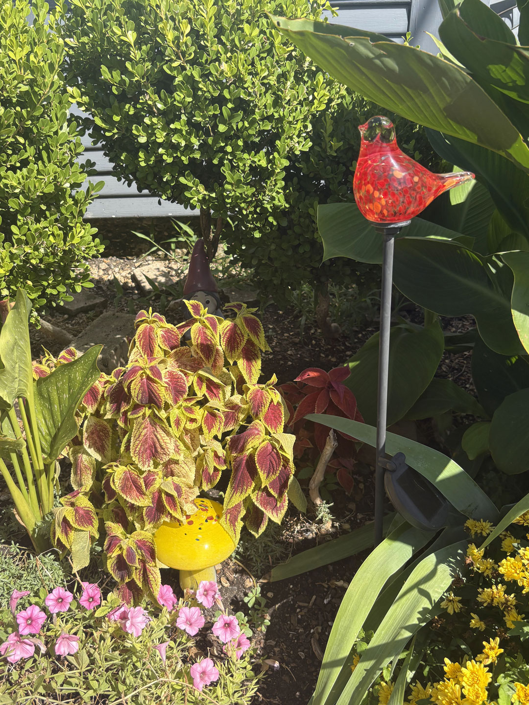 Junius Heights Historic District Yard of the Month July 2026