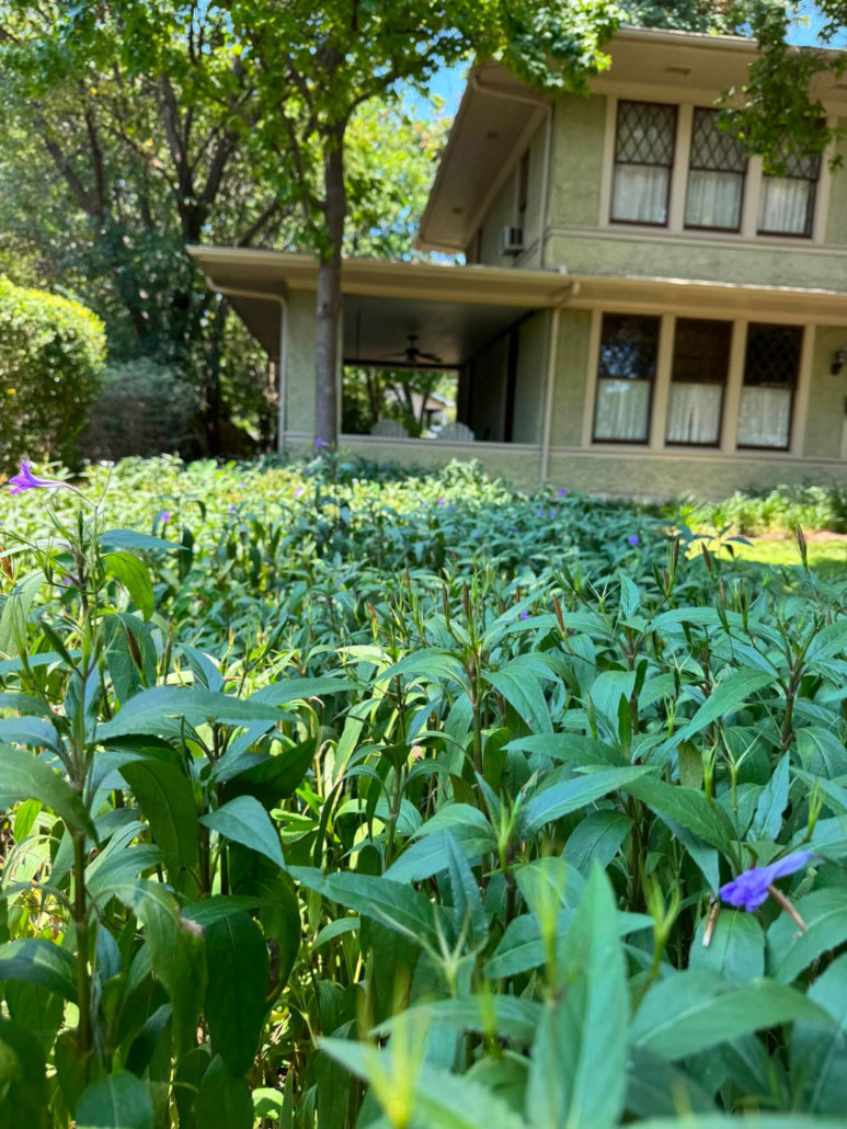 1523-Abrams-Road-05 Junius Heights Historic District Yard of the Month August 2026