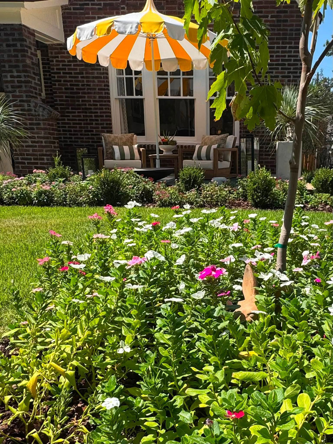Junius Heights Historic District Yard of the Month September 2026