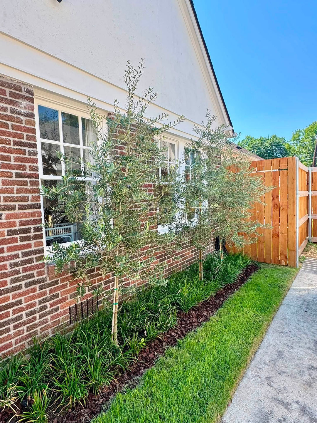 Junius Heights Historic District Yard of the Month September 2026