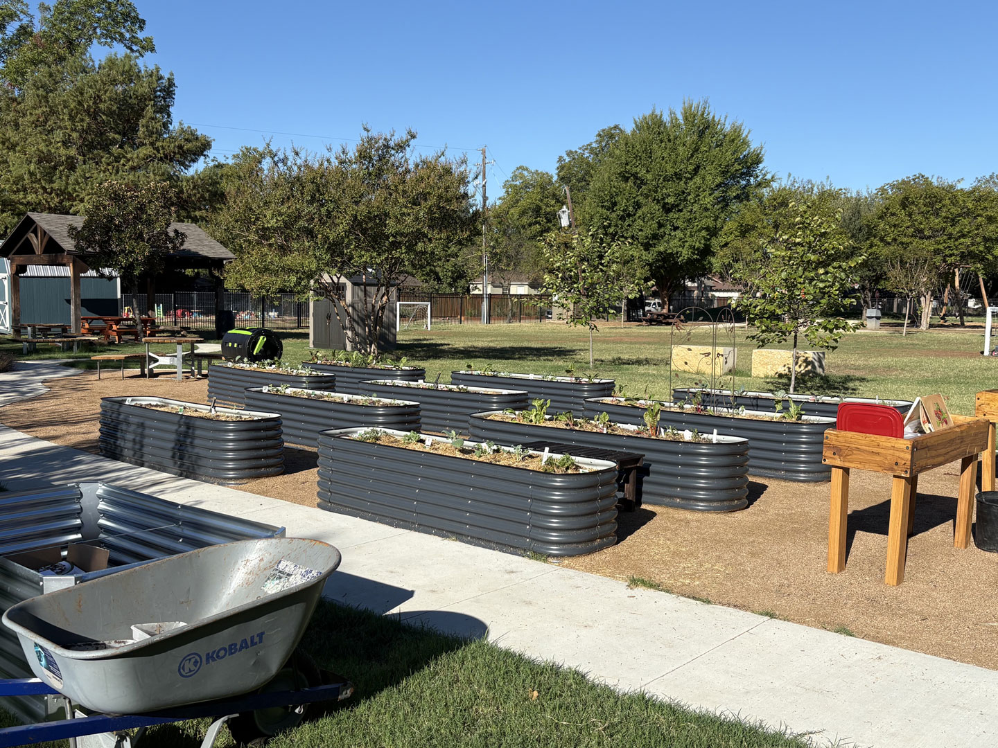 Lipscomb-Community-Garden-04 Junius Heights Historic District Yard of the Month October 2026