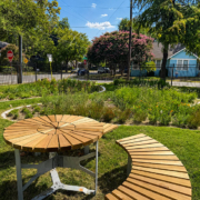 Junius Heights Historic District Yard of the Month October 2026